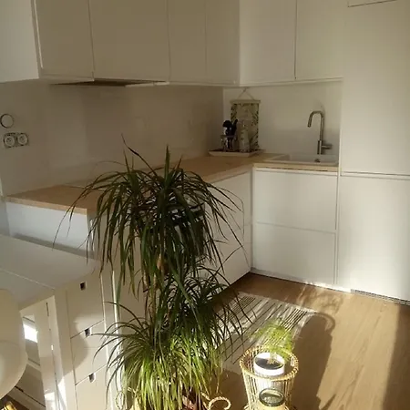 Apartamento Vittoria Immobilier - Rez De Jardin Bord De Couchant *